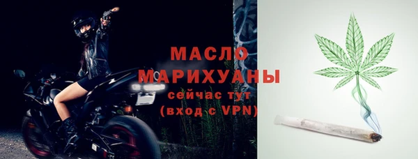 стафф Ельня