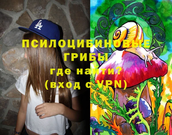 mix Белокуриха