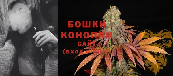 mix Белокуриха