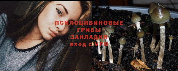 mix Белокуриха